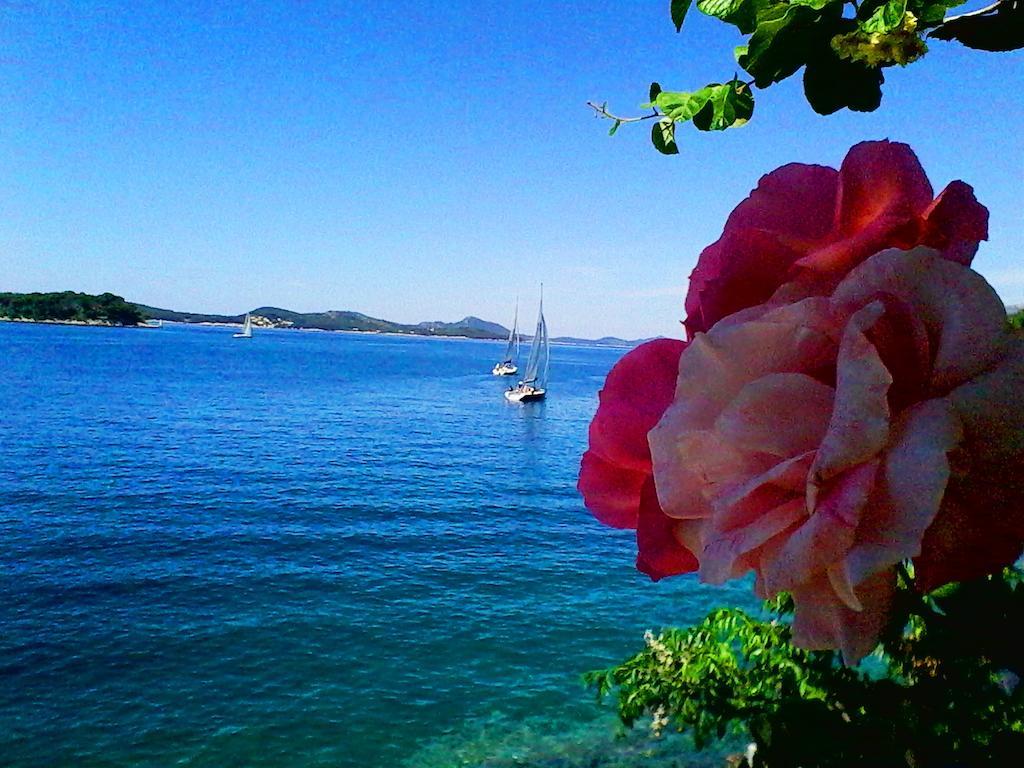 Ferienwohnung Sea Of Eden Dubrovnik Exterior foto